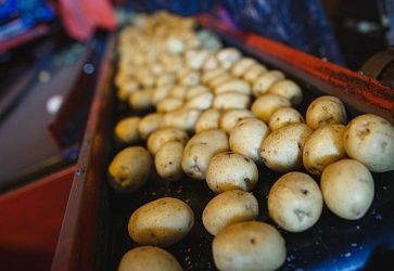 ООО «Агрофирма «КРиММ»
