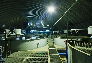 ООО «Сладковское товарное рыбоводческое хозяйство»